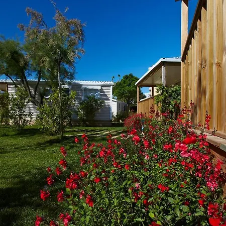 Apartament Terraza - Salata Mar *